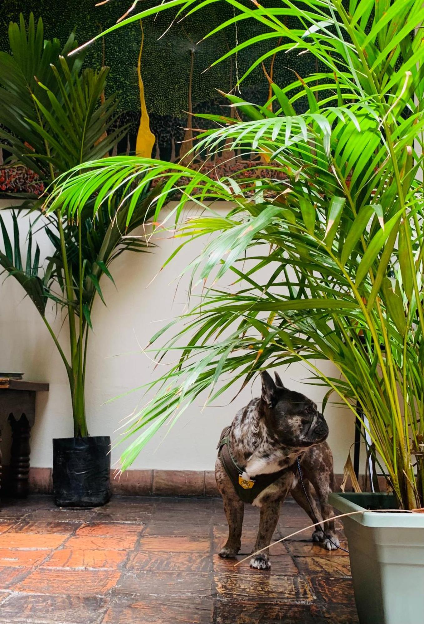 Hotel Posada De San Agustin Tunja Ngoại thất bức ảnh